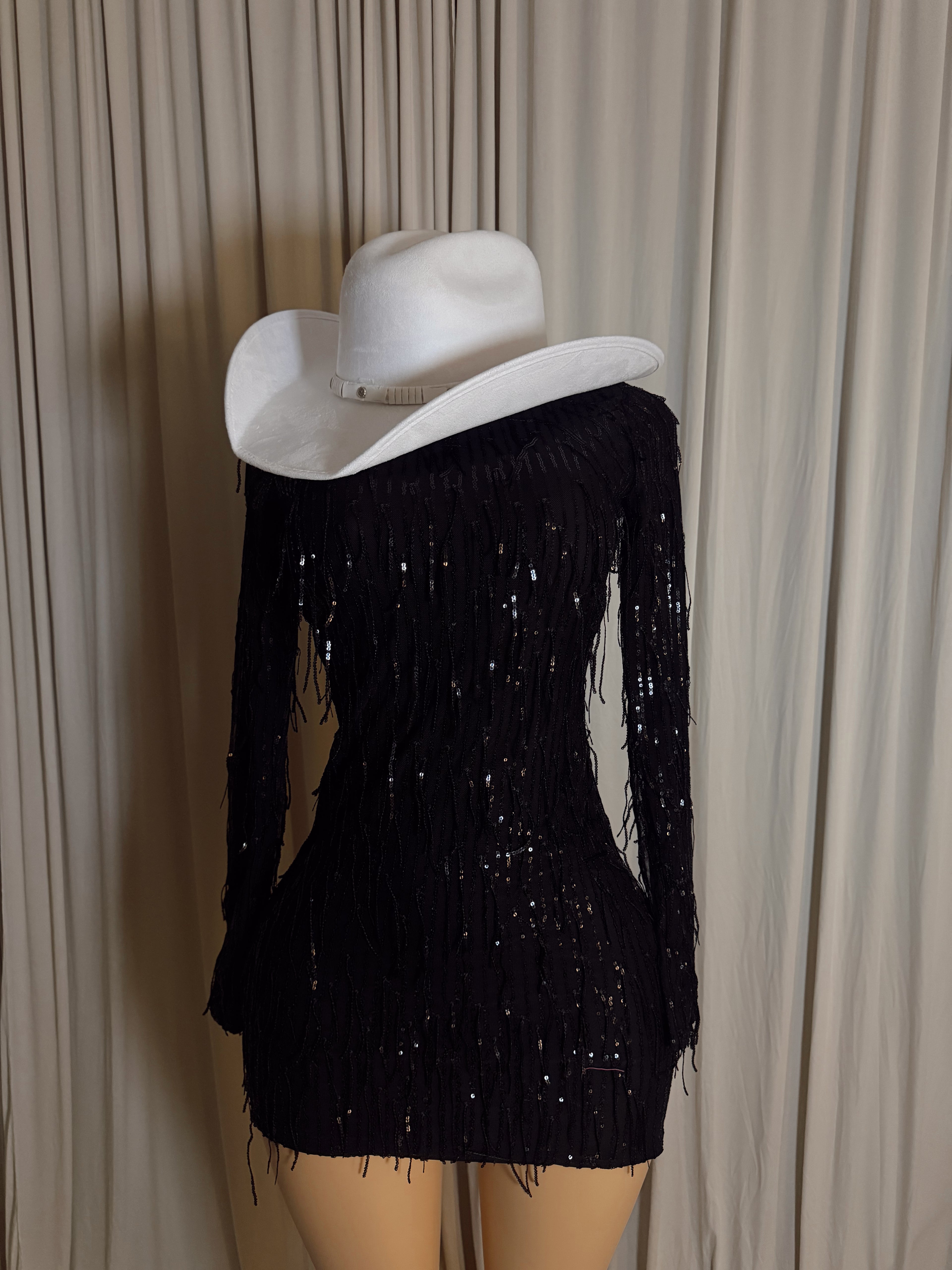 Dallas sequin fringe dress
